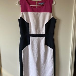 Antonio Melani Color Block Work Dress